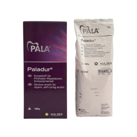 KULZER PALADUR TRASPAR. 1KG