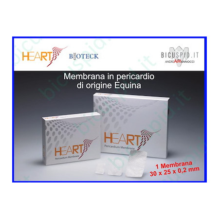 HEART PERCARDIUM MEMBRANE 1 PC. 25X30X0,2MM