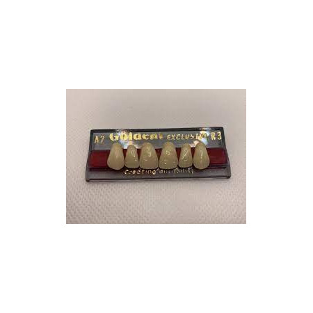 DENTI GOLDENT ESCLUSIVE X6X8